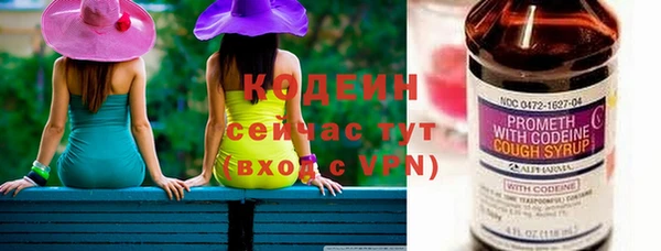 прущие грибы Инта