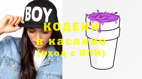 стаф Инсар