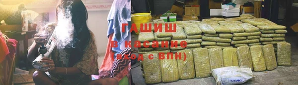 прущие грибы Инта