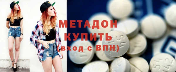 прущие грибы Инта