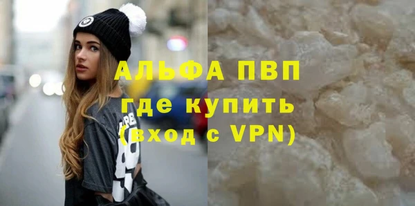 стаф Инсар