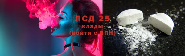 прущие грибы Инта