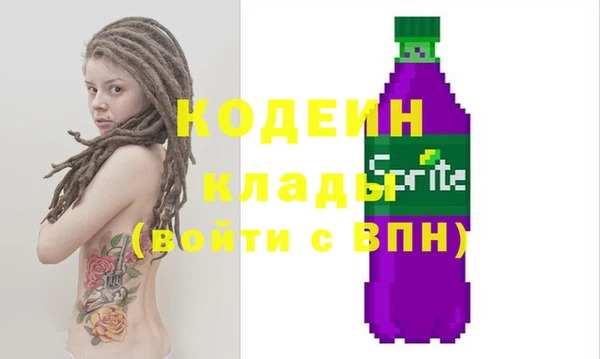 прущие грибы Инта