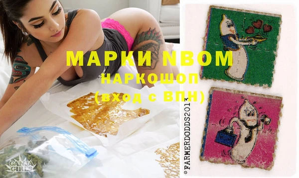 прущие грибы Инта