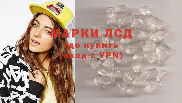 прущие грибы Инта