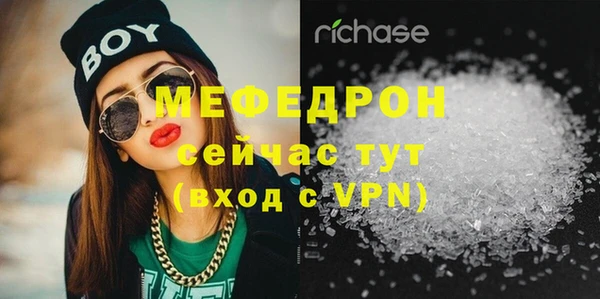 прущие грибы Инта
