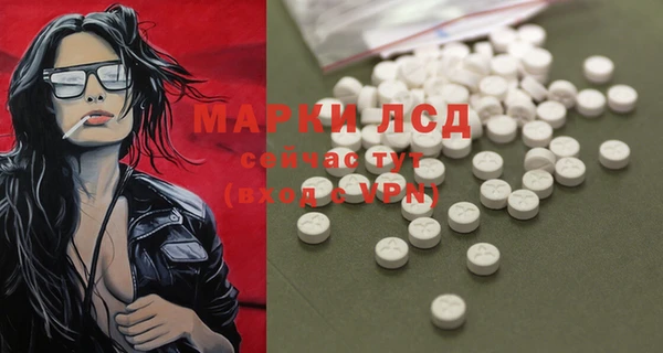 стаф Инсар