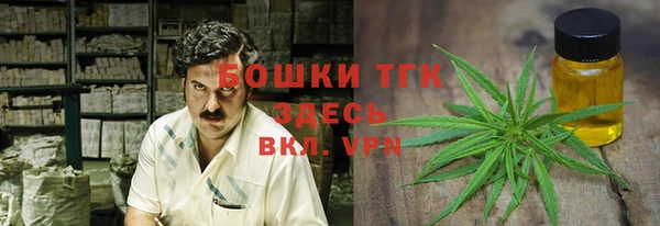 стаф Инсар